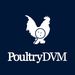 poultrydvm