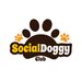 socialdoggyclub0