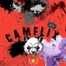 camflix