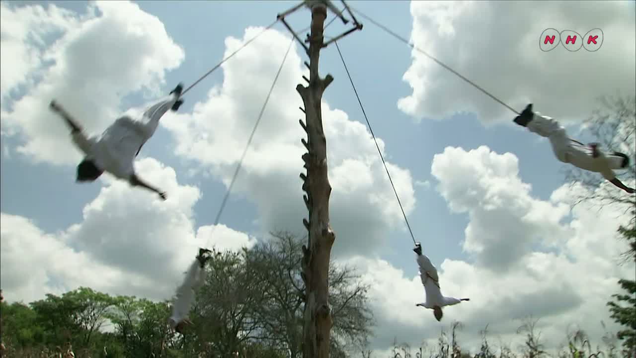 Ritual ceremony of the Voladores