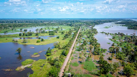 Aerial view of the BR 319 highway route in Careiro da Vu00e1rzea (Credit: Getty Images)