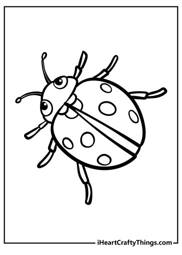 Ladybug coloring pages