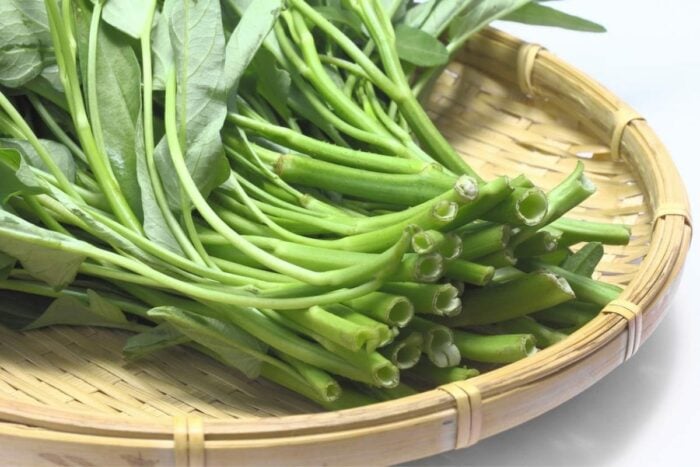 Chinese water spinach