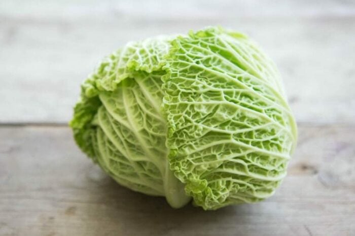 Savoy cabbage