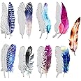 9 Pieces Feather Cutting Dies Feather Embossing Stencil Scrapbooking Steel Craft Die Cut Metal Cutting Dies for Album Photo P