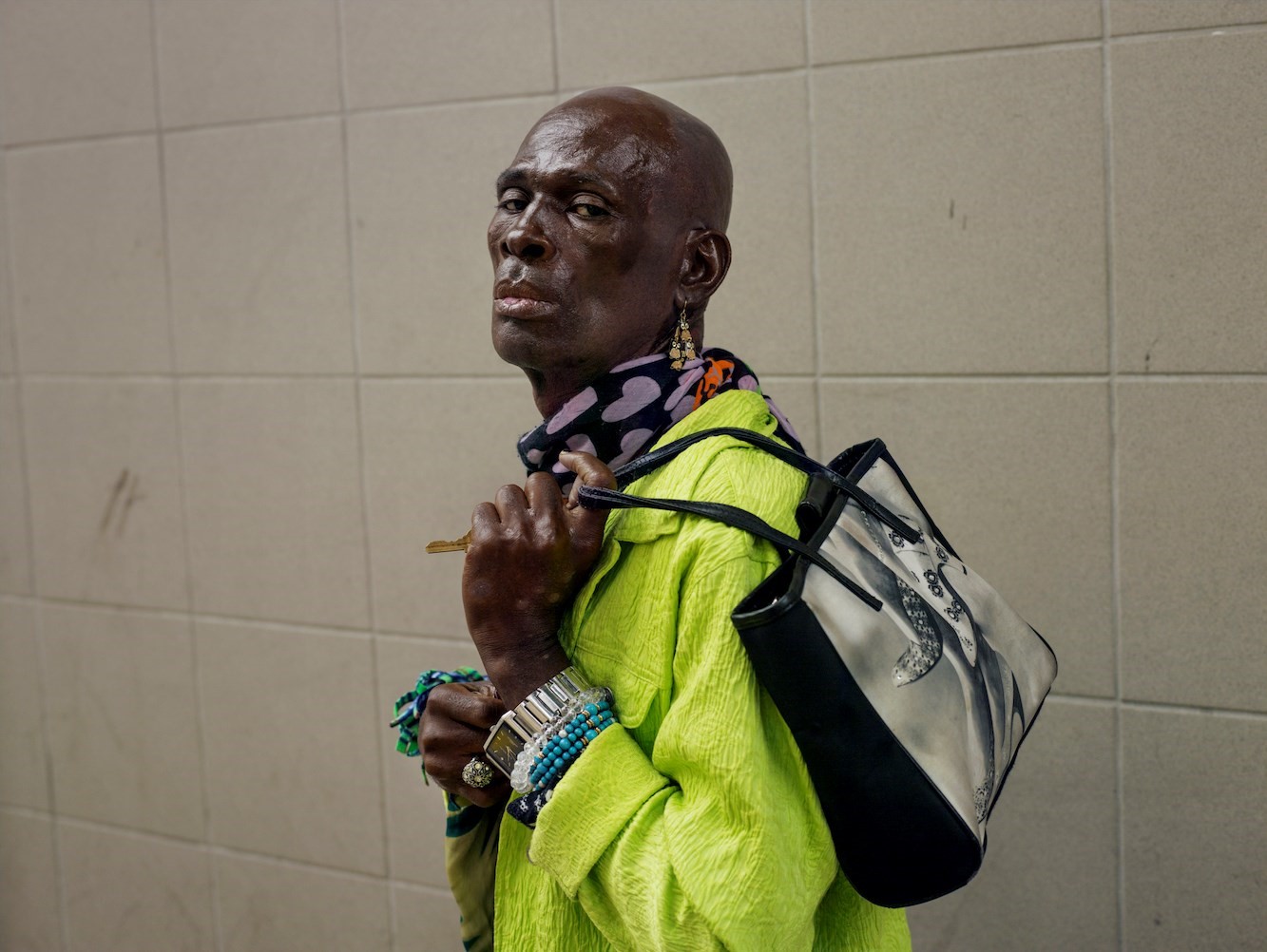 Californian Wildflowers by Pieter Hugo California Homeless 