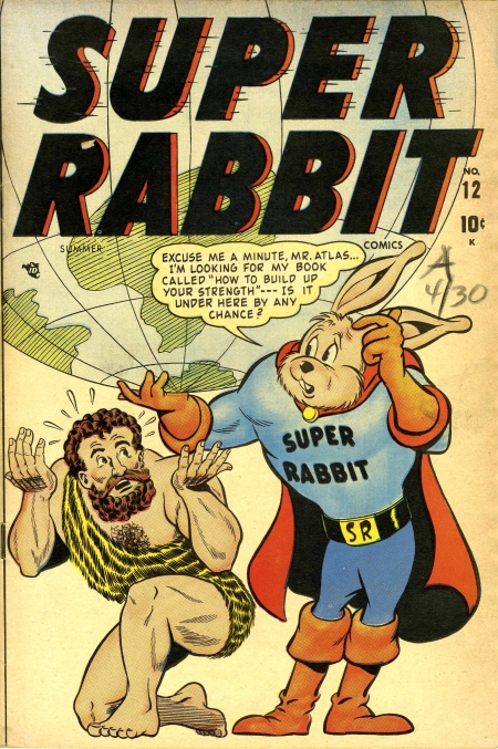 Super Rabbit 12 Cover Image