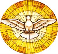 Dove Stain GLass