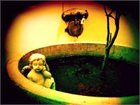 Cherub In Tub 1