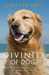 The Divinity of Dogs True Stories of Miracles Inspired by Man's Best Friend by Jennifer Skiff