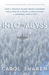 Into the Abyss How a Deadly Plane Crash Changed the Lives of a Pilot, a Politician, a Criminal and a Cop by Carol Shaben