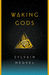 Waking Gods (Themis Files, #2) by Sylvain Neuvel