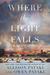 Where the Light Falls by Allison Pataki