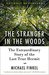 The Stranger in the Woods The Extraordinary Story of the Last True Hermit by Michael Finkel