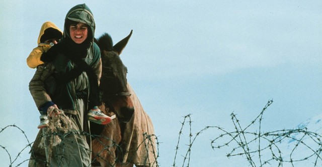 Un temps pour l'ivresse des chevaux