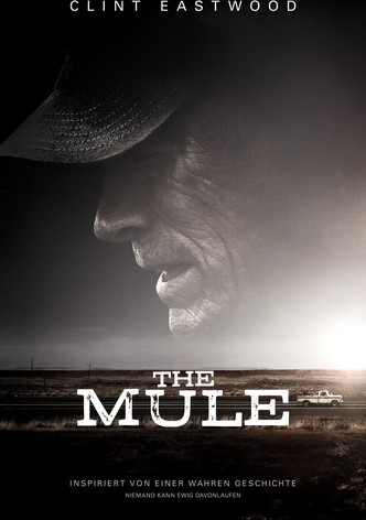 The Mule