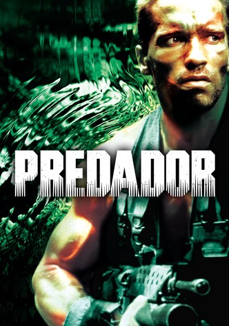 Predador