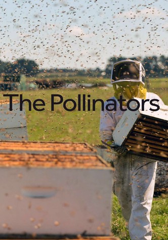 The Pollinators