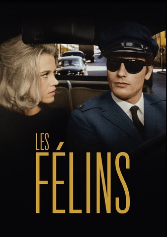 Les Félins