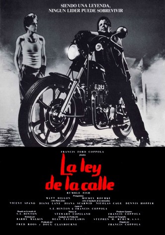 La ley de la calle