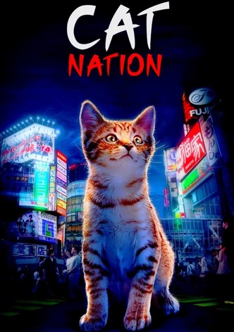 Cat Nation