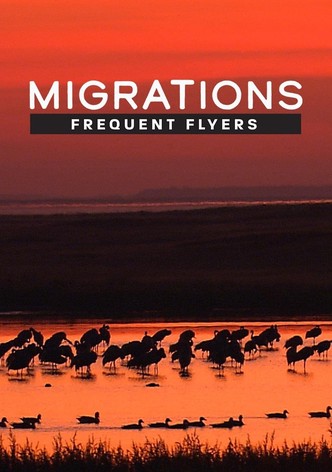 Migrations: Frequent Flyers