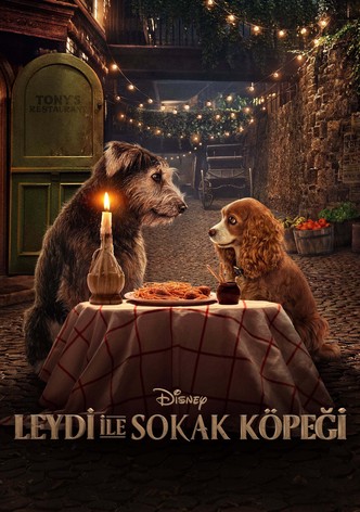 Lady ile Sokak Köpeği