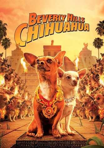 Beverly Hills Chihuahua