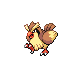 Pidgey