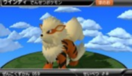 Arcanine