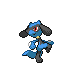 Riolu