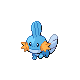 Mudkip