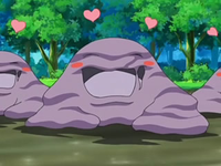 Muk hembras en el EP556.