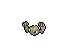 Geodude