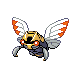 Ninjask