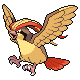 Pidgeot