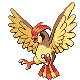 Pidgeotto