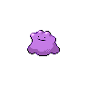 Ditto NB.png