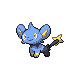 Shinx