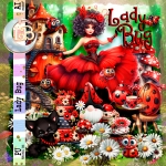 Lady Bug