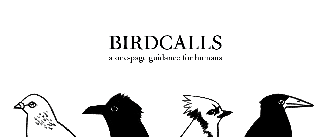 Birdcalls