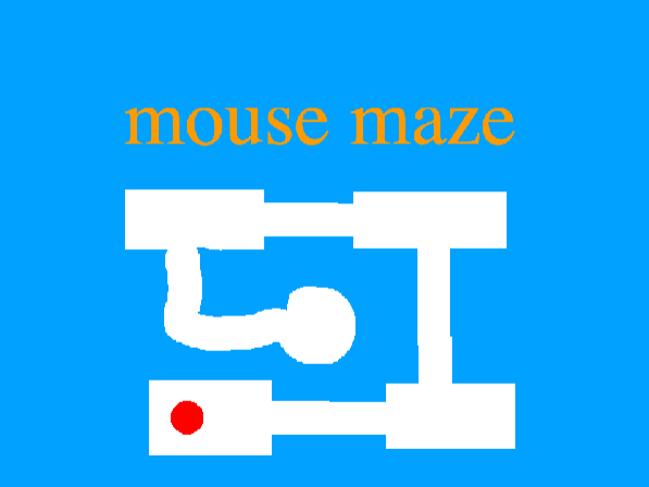 Mouse Maze