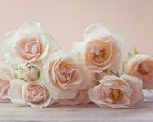 White peach baby roses, Shabby Chic rustic Home Decor, floral photography, pastel, rustic, flower arrangement