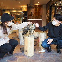 幸せのフクロウカフェ chouetteの雰囲気1