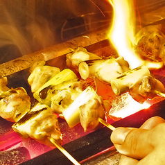 炭火焼き鳥Dining らんの特集写真