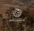 ダイニングバー pocopocoのロゴ