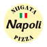 Napoli PIZZA 新潟駅南けやき通り店のロゴ