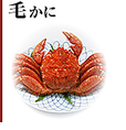 「毛かに」体が顆粒と短い羽状毛で密に覆われているためこの名があります。甲羅は比較的柔らかく卵型で甲長10ｃｍくらいです。毛かにのかにみそは格別です。是非一度、姿茹でをご賞味下さい。