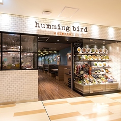 osteria humming bird ハミングバード セルバテラス店の雰囲気1