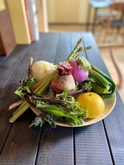 Loriga 三浦半島食蔵の写真